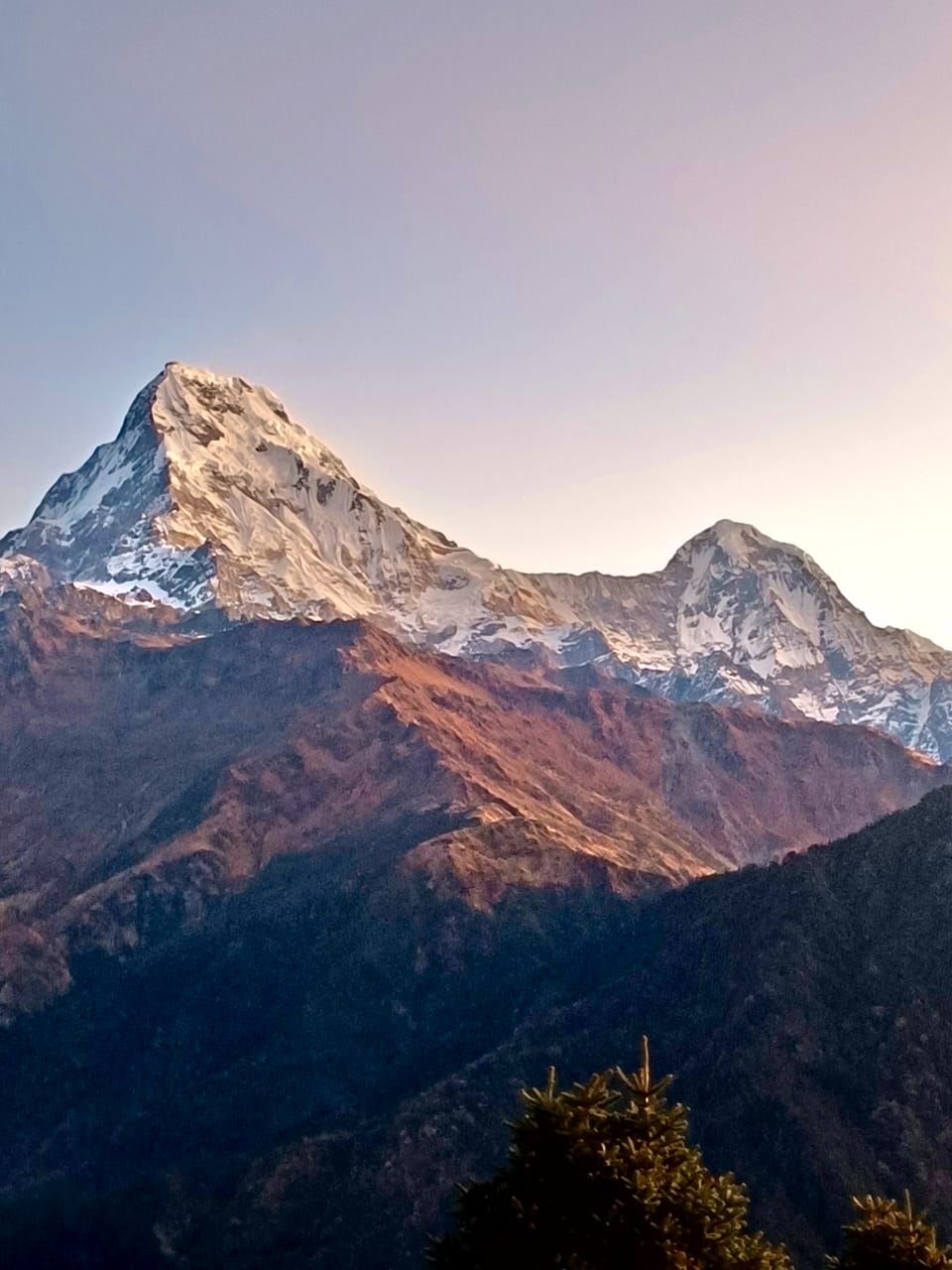 Trek de Poon Hill 2